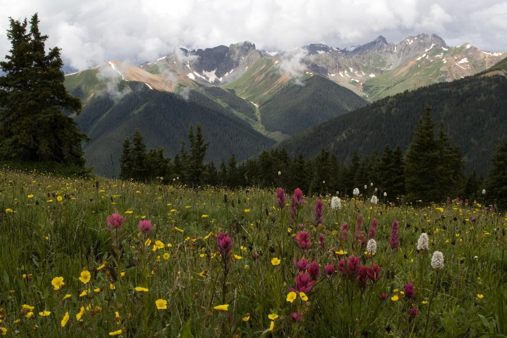 Ouray Chalet Inn Εξωτερικό φωτογραφία